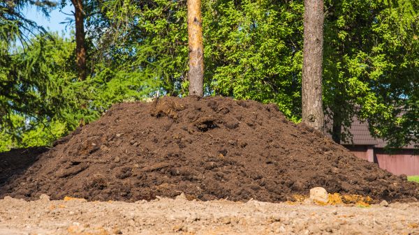 Dirt Installation in Petaluma