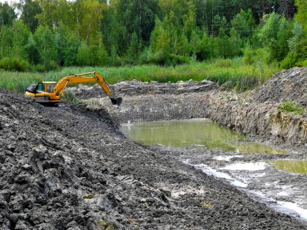 Cost of Fish Pond Digging in Petaluma