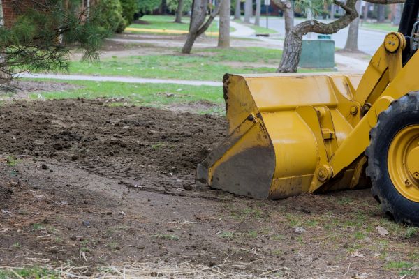 Backfilling Service in Petaluma