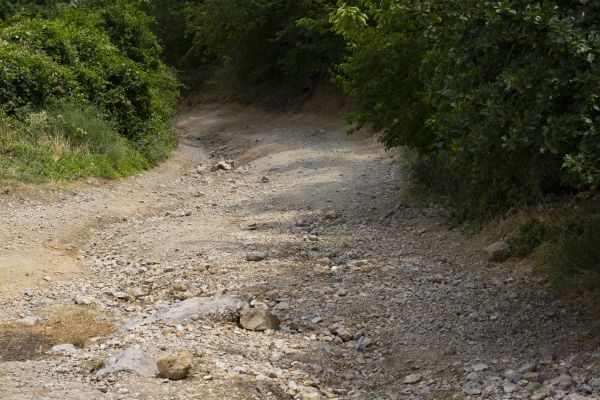 Gravel Road Pothole Repair in Petaluma