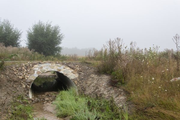 Cost of Culvert Excavation in Petaluma