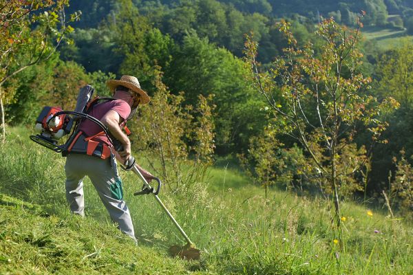Cost of Slope Trimming in Petaluma