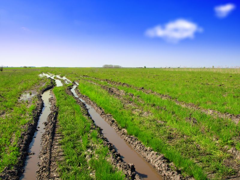 Field Grading Activity